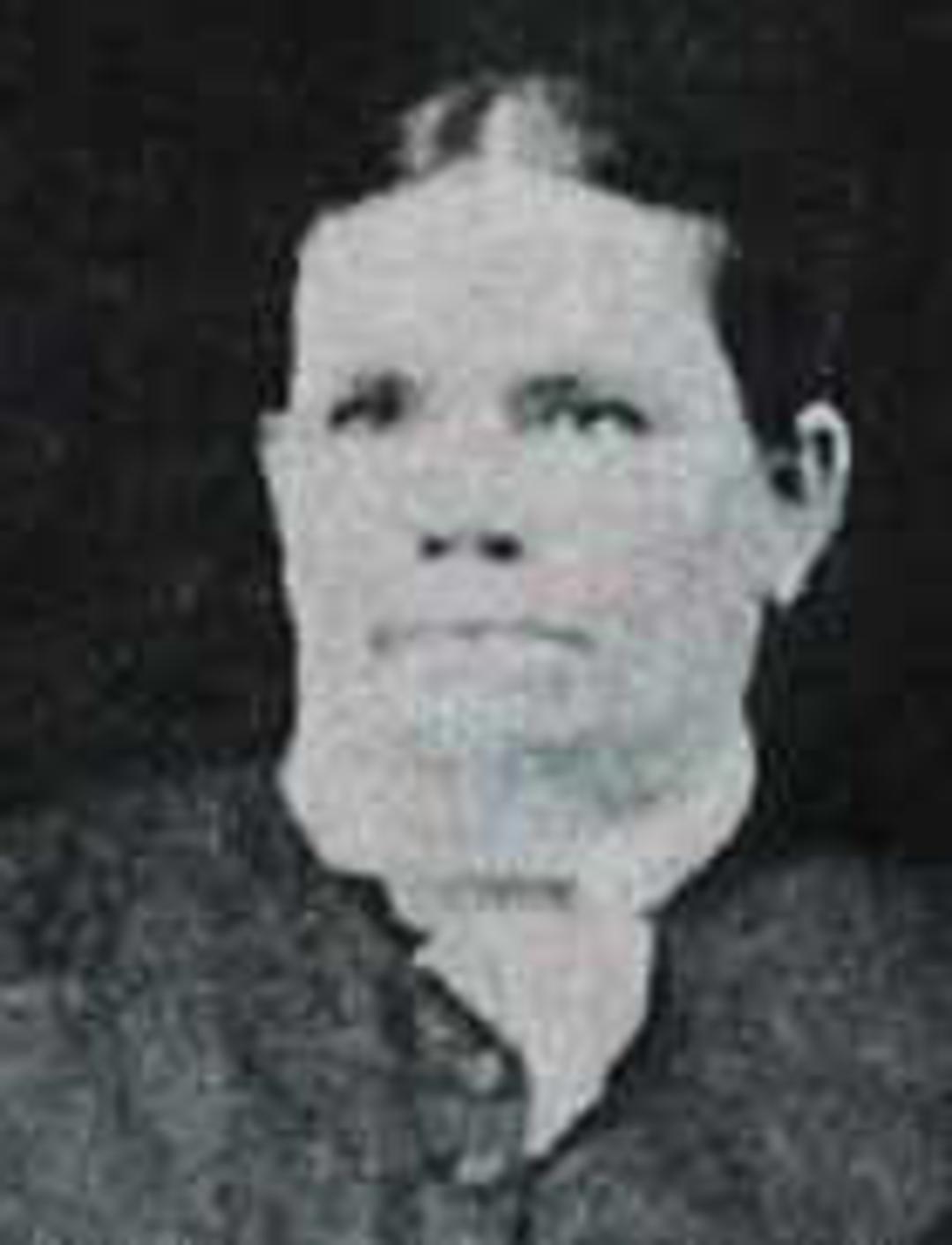 Lovisa Hamilton (1837 - 1924) Profile